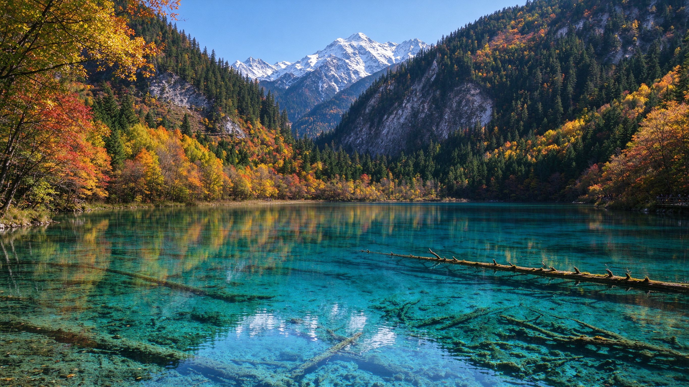 Five Flower Lake